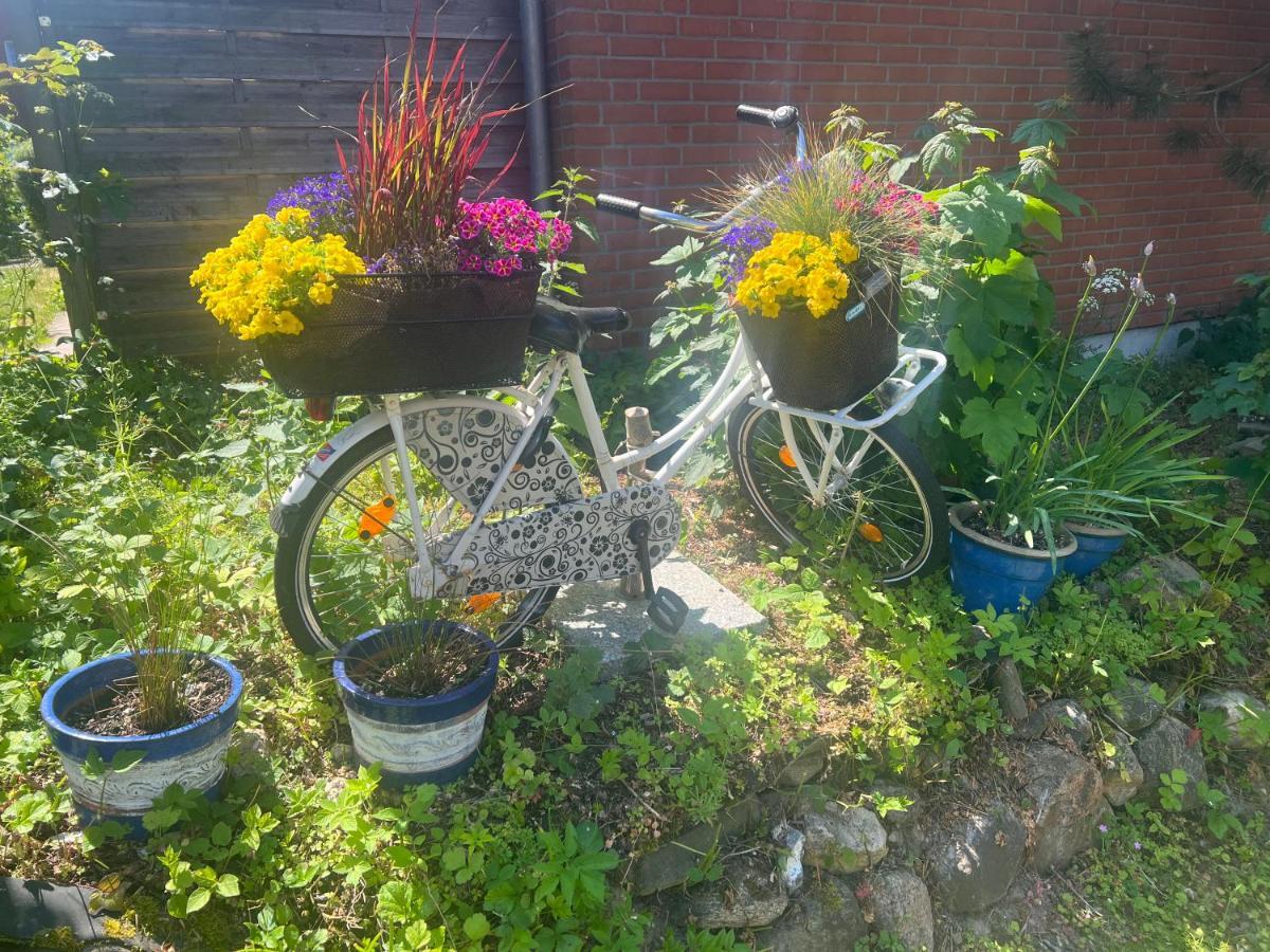 Segelund - Zeit Fuer Uns- Ruhige Und Sonnige Ferienwohnung Mit Terrasse Und Garten Nahe Strand Und Ostsee Schönhagen Buitenkant foto